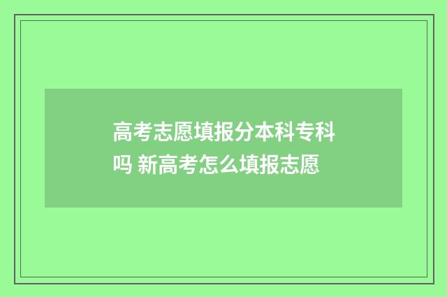 高考志愿填报分本科专科吗 新高考怎么填报志愿