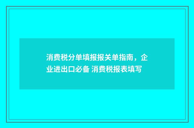 消费税分单填报报关单指南，企业进出口必备 消费税报表填写