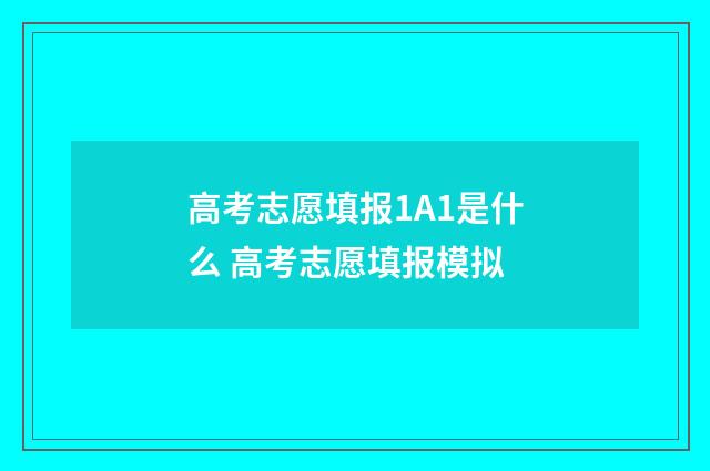 高考志愿填报1A1是什么 高考志愿填报模拟
