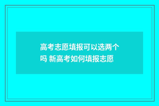 高考志愿填报可以选两个吗 新高考如何填报志愿
