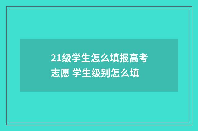 21级学生怎么填报高考志愿 学生级别怎么填