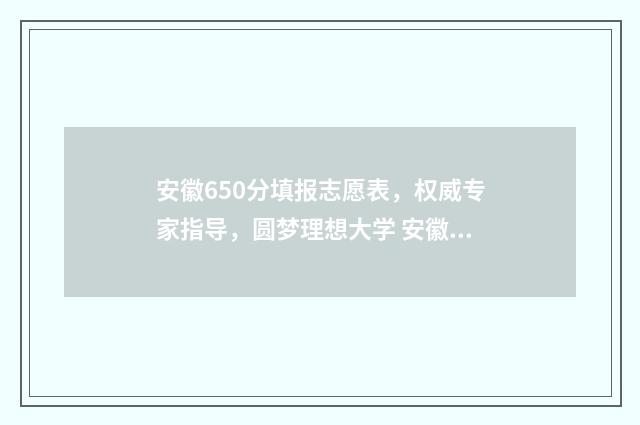 安徽650分填报志愿表，权威专家指导，圆梦理想大学 安徽省高考650