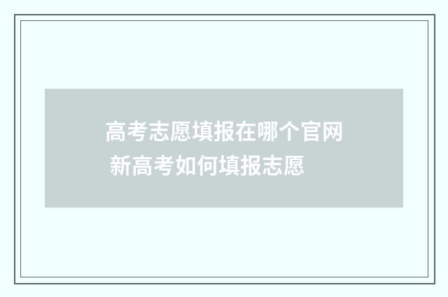 高考志愿填报在哪个官网 新高考如何填报志愿