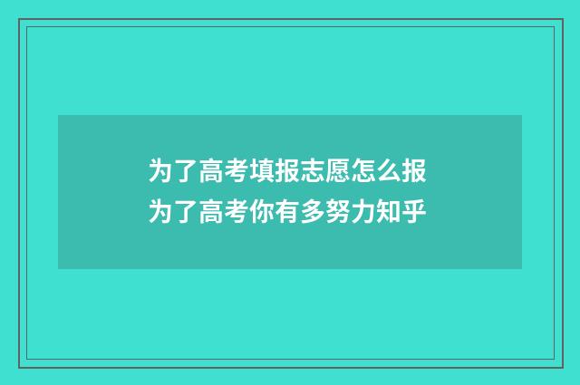 为了高考填报志愿怎么报 为了高考你有多努力知乎