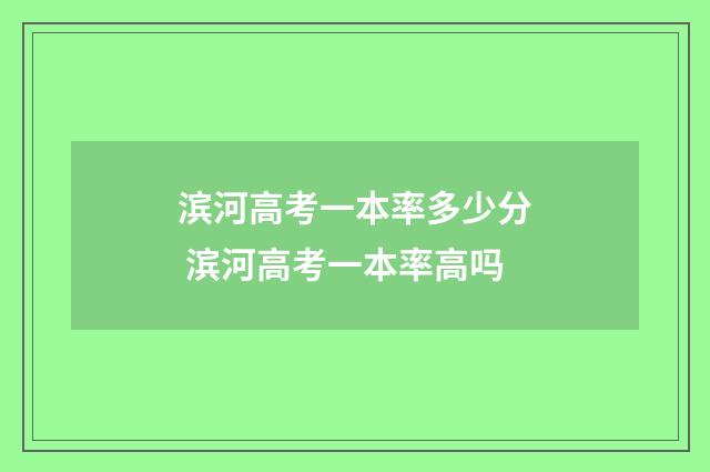 滨河高考一本率多少分 滨河高考一本率高吗