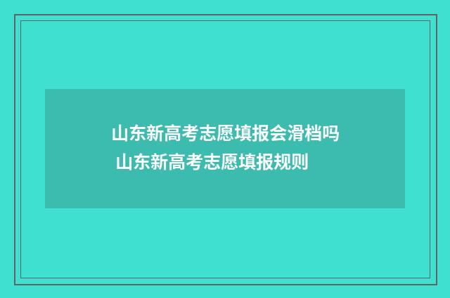 山东新高考志愿填报会滑档吗 山东新高考志愿填报规则