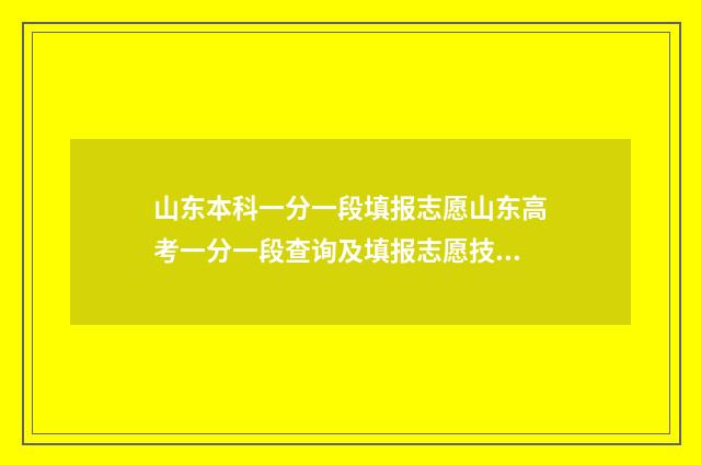 山东本科一分一段填报志愿山东高考一分一段查询及填报志愿技巧 山东本科2021一分一段表