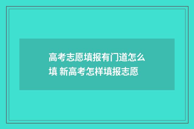 高考志愿填报有门道怎么填 新高考怎样填报志愿