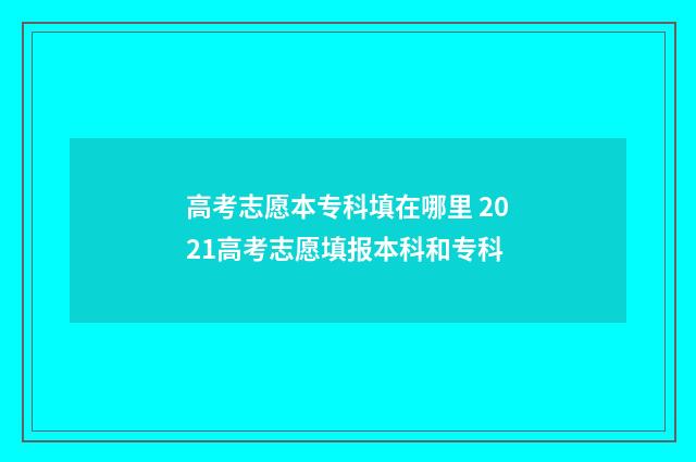 高考志愿本专科填在哪里 2021高考志愿填报本科和专科