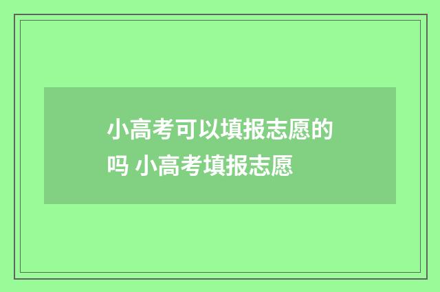 小高考可以填报志愿的吗 小高考填报志愿