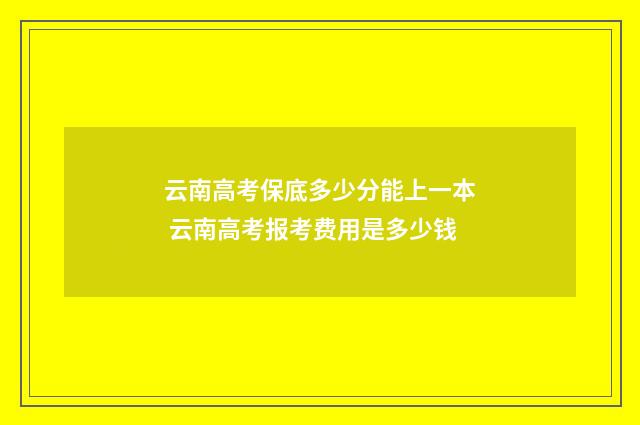 云南高考保底多少分能上一本 云南高考报考费用是多少钱