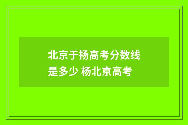 北京于扬高考分数线是多少 杨北京高考