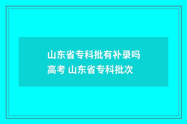 山东省专科批有补录吗高考 山东省专科批次
