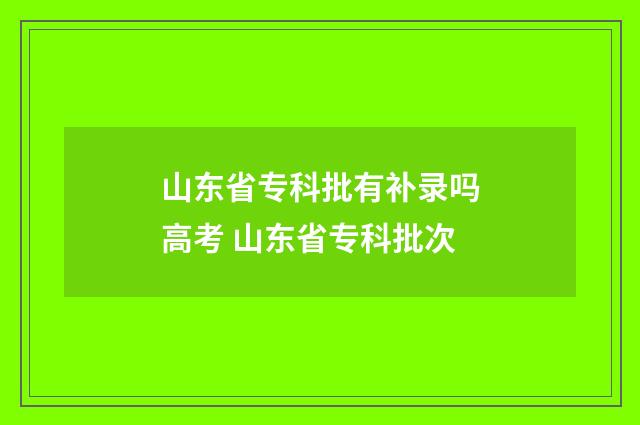 山东省专科批有补录吗高考 山东省专科批次