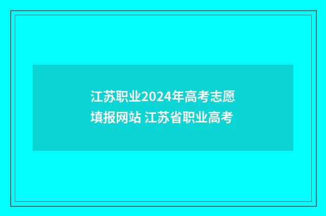 江苏职业2024年高考志愿填报网站 江苏省职业高考
