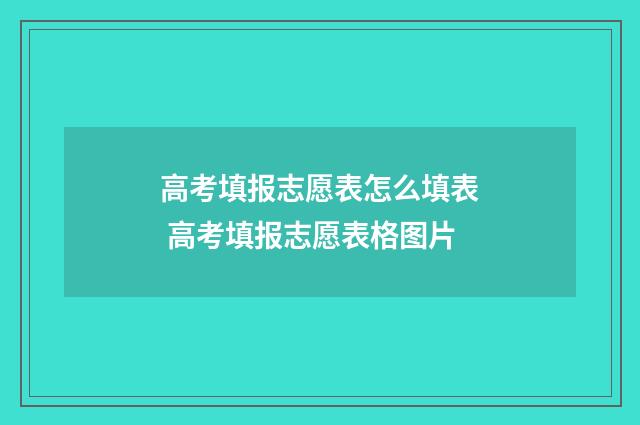 高考填报志愿表怎么填表 高考填报志愿表格图片