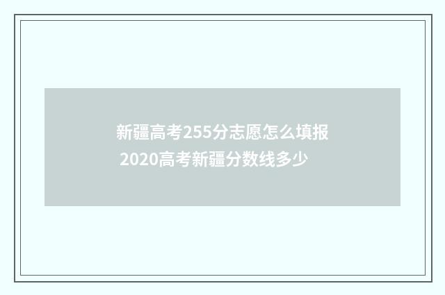 新疆高考255分志愿怎么填报 2020高考新疆分数线多少