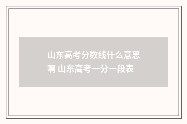 山东高考分数线什么意思啊 山东高考一分一段表