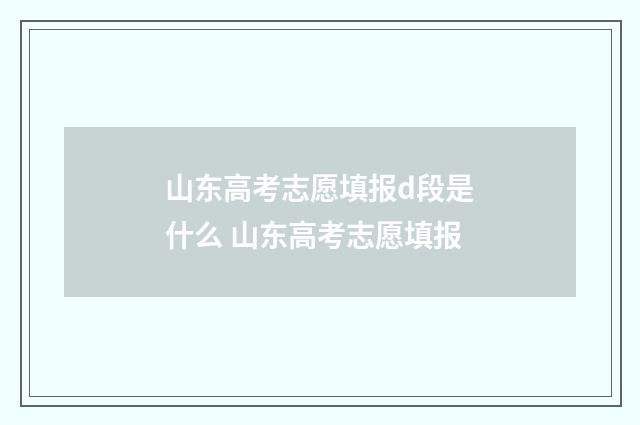 山东高考志愿填报d段是什么 山东高考志愿填报