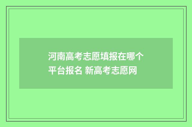 河南高考志愿填报在哪个平台报名 新高考志愿网