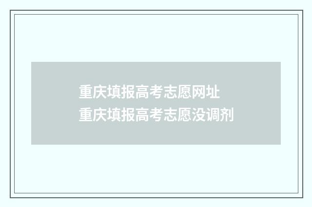 重庆填报高考志愿网址 重庆填报高考志愿没调剂