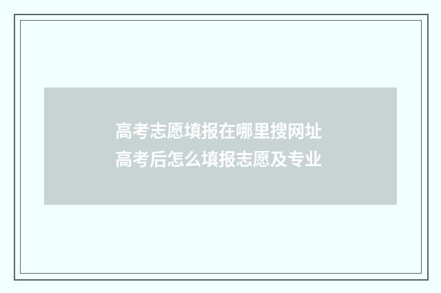 高考志愿填报在哪里搜网址 高考后怎么填报志愿及专业