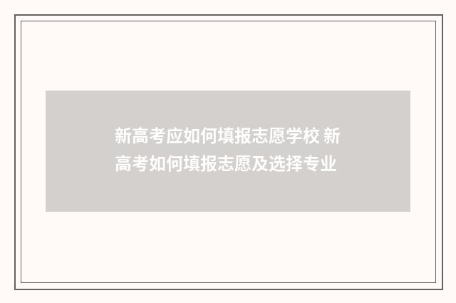 新高考应如何填报志愿学校 新高考如何填报志愿及选择专业