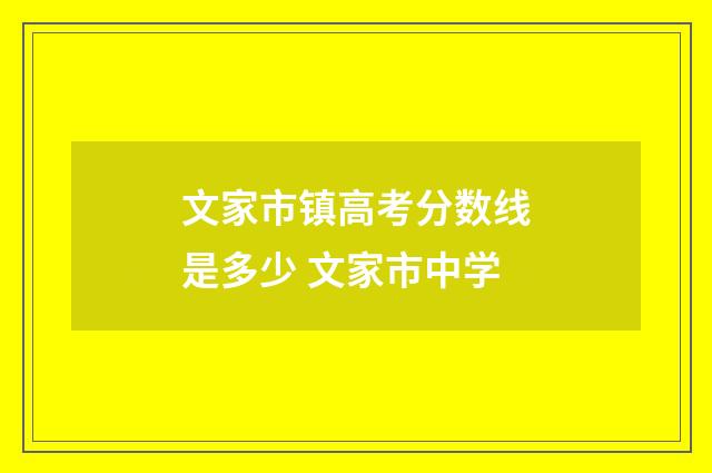 文家市镇高考分数线是多少 文家市中学