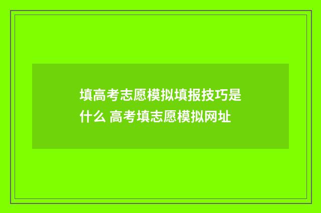 填高考志愿模拟填报技巧是什么 高考填志愿模拟网址