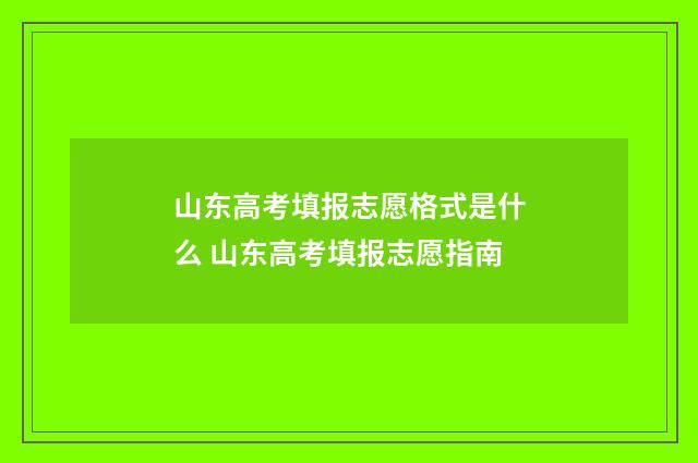 山东高考填报志愿格式是什么 山东高考填报志愿指南