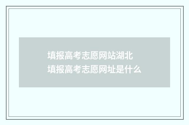 填报高考志愿网站湖北 填报高考志愿网址是什么