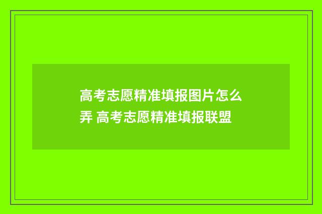 高考志愿精准填报图片怎么弄 高考志愿精准填报联盟