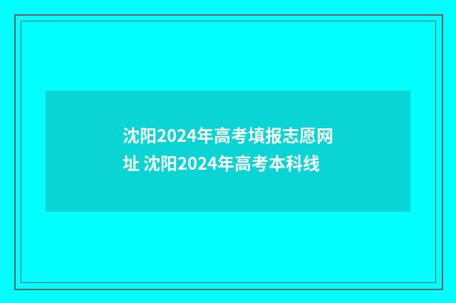 沈阳2024年高考填报志愿网址 沈阳2024年高考本科线