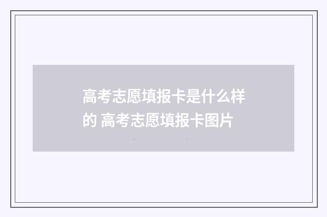 高考志愿填报卡是什么样的 高考志愿填报卡图片