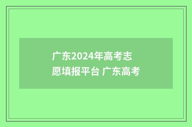 广东2024年高考志愿填报平台 广东高考