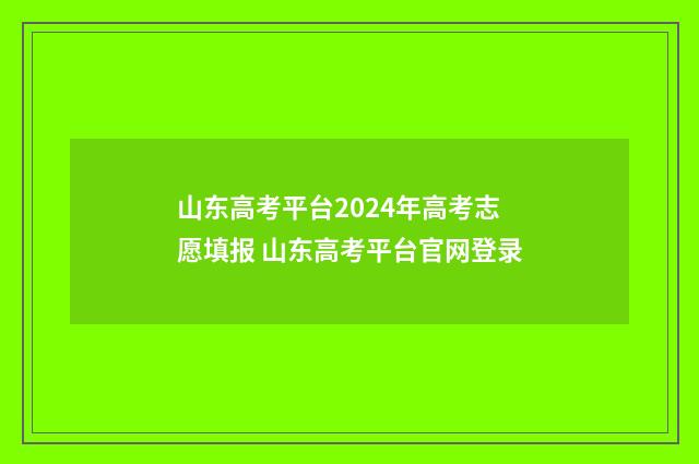 山东高考平台2024年高考志愿填报 山东高考平台官网登录