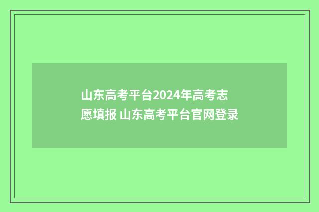 山东高考平台2024年高考志愿填报 山东高考平台官网登录