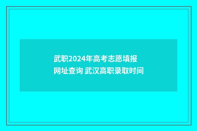 武职2024年高考志愿填报网址查询 武汉高职录取时间
