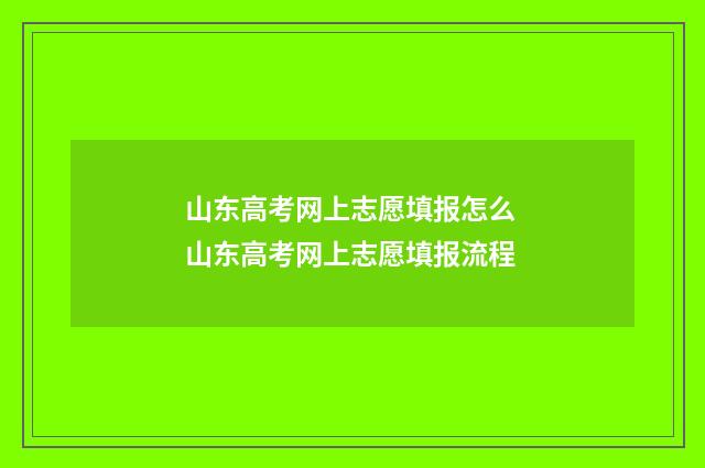 山东高考网上志愿填报怎么 山东高考网上志愿填报流程