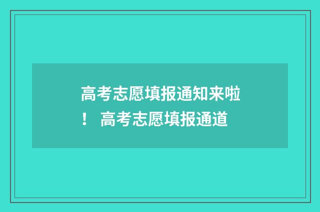 高考志愿填报通知来啦！ 高考志愿填报通道