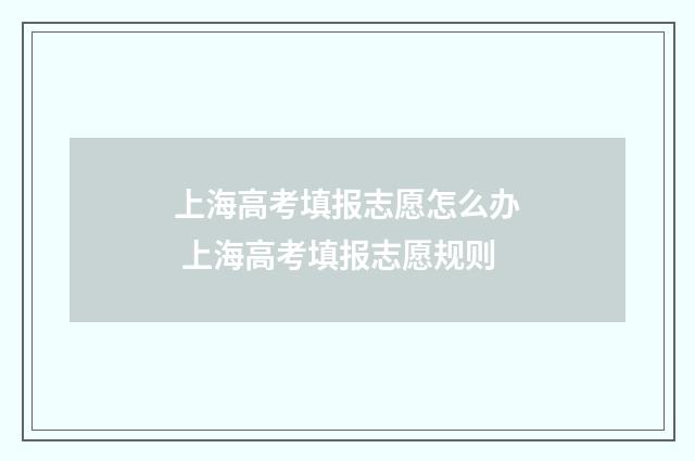 上海高考填报志愿怎么办 上海高考填报志愿规则