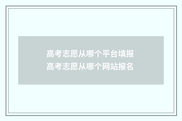 高考志愿从哪个平台填报 高考志愿从哪个网站报名