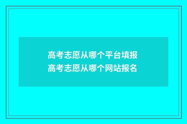高考志愿从哪个平台填报 高考志愿从哪个网站报名