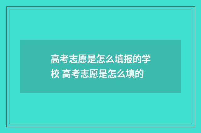 高考志愿是怎么填报的学校 高考志愿是怎么填的