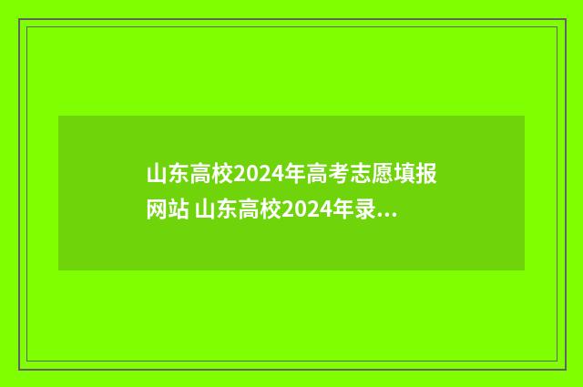 山东高校2024年高考志愿填报网站 山东高校2024年录取分数线