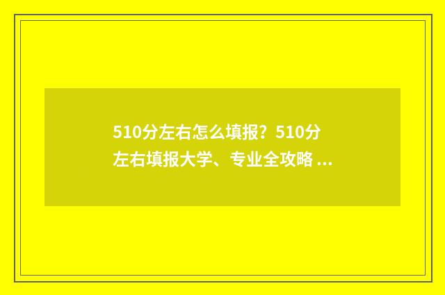 510分左右怎么填报？510分左右填报大学、专业全攻略 总分510能上什么大学