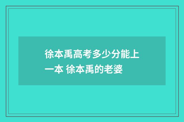 徐本禹高考多少分能上一本 徐本禹的老婆