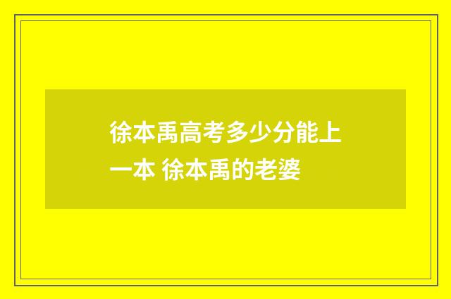 徐本禹高考多少分能上一本 徐本禹的老婆