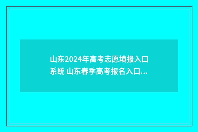 山东2024年高考志愿填报入口系统 山东春季高考报名入口官网