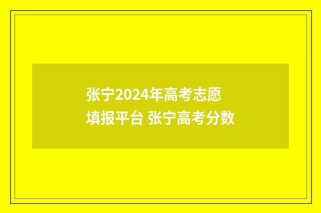 张宁2024年高考志愿填报平台 张宁高考分数